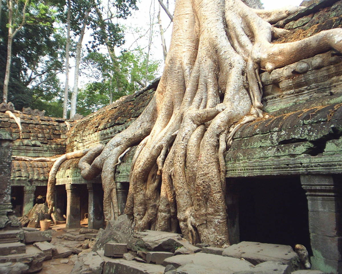 f:id:YoshihikoK:20201031084824p:plain