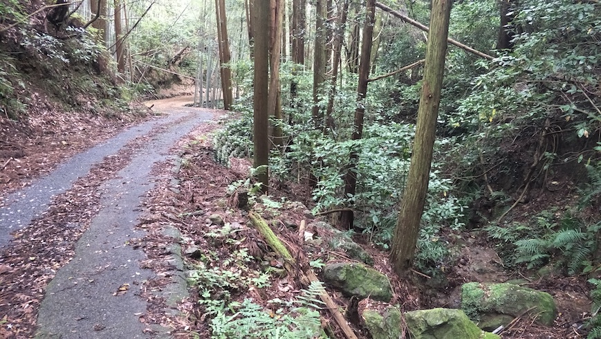 f:id:YoshihikoK:20210610223023j:plain