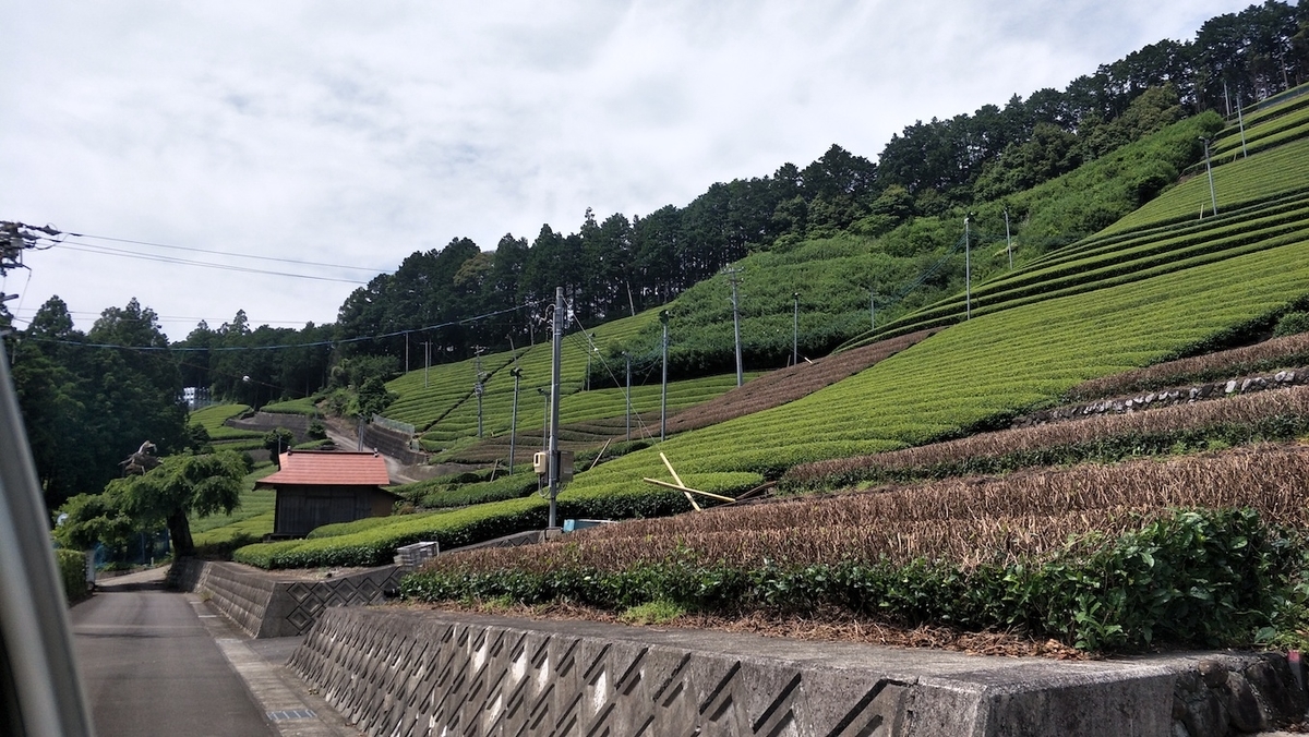 f:id:YoshihikoK:20210610234919j:plain