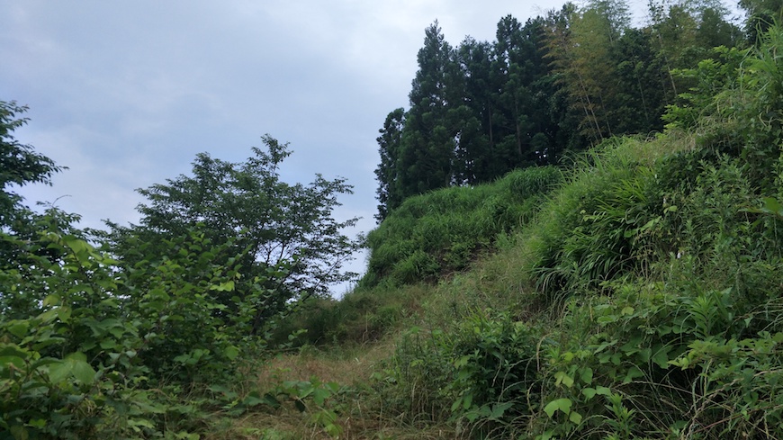 f:id:YoshihikoK:20210611001921j:plain