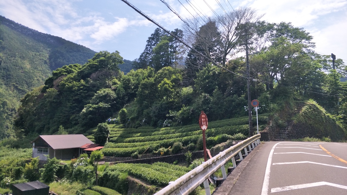 f:id:YoshihikoK:20210611004203j:plain