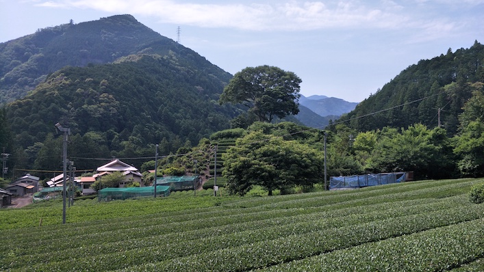 f:id:YoshihikoK:20210612151753j:plain