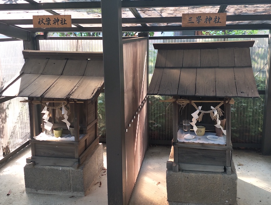 f:id:YoshihikoK:20210614154114j:plain