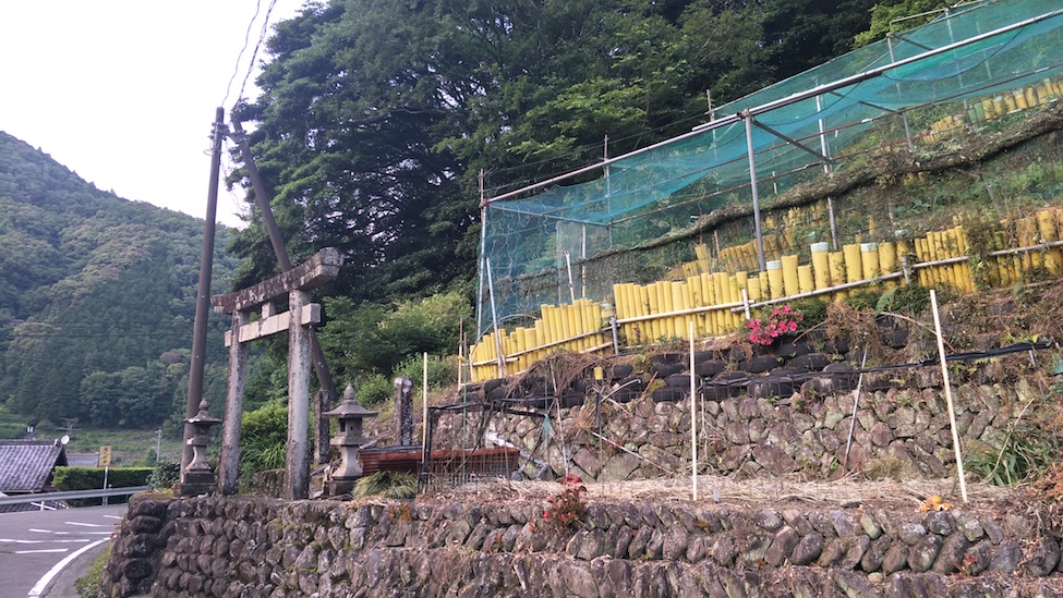 f:id:YoshihikoK:20210614164117j:plain