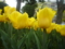 20140416151441