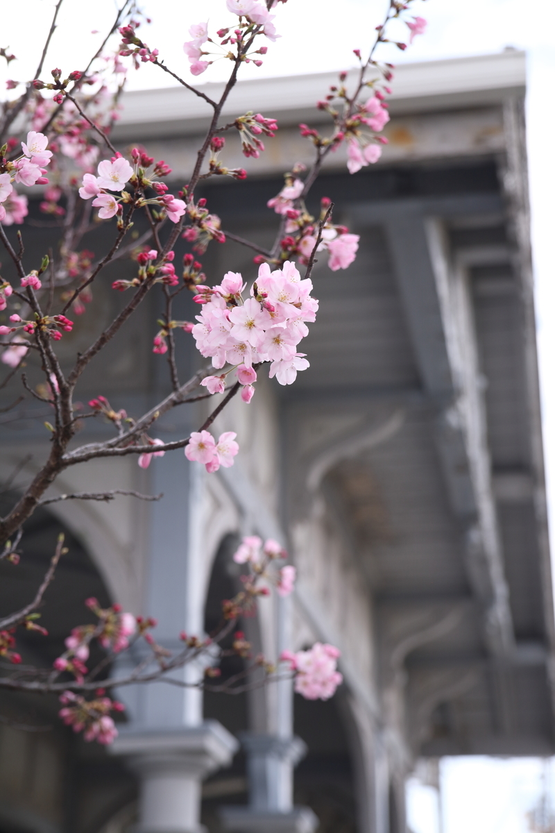 f:id:Yoshio2:20210321130532j:plain