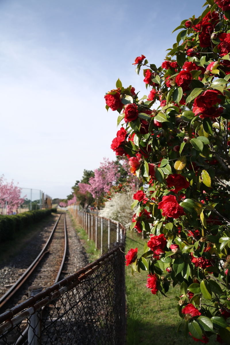 f:id:Yoshio2:20210321130546j:plain