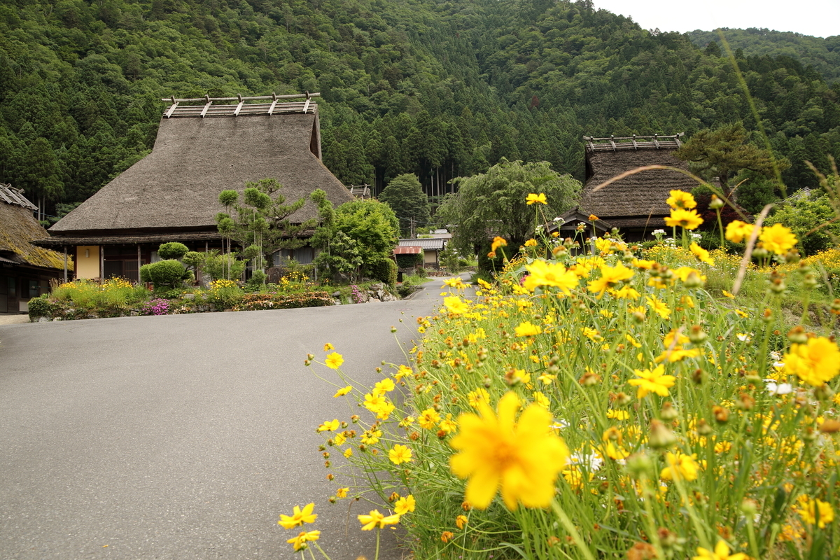 f:id:Yoshio2:20211210133748j:plain