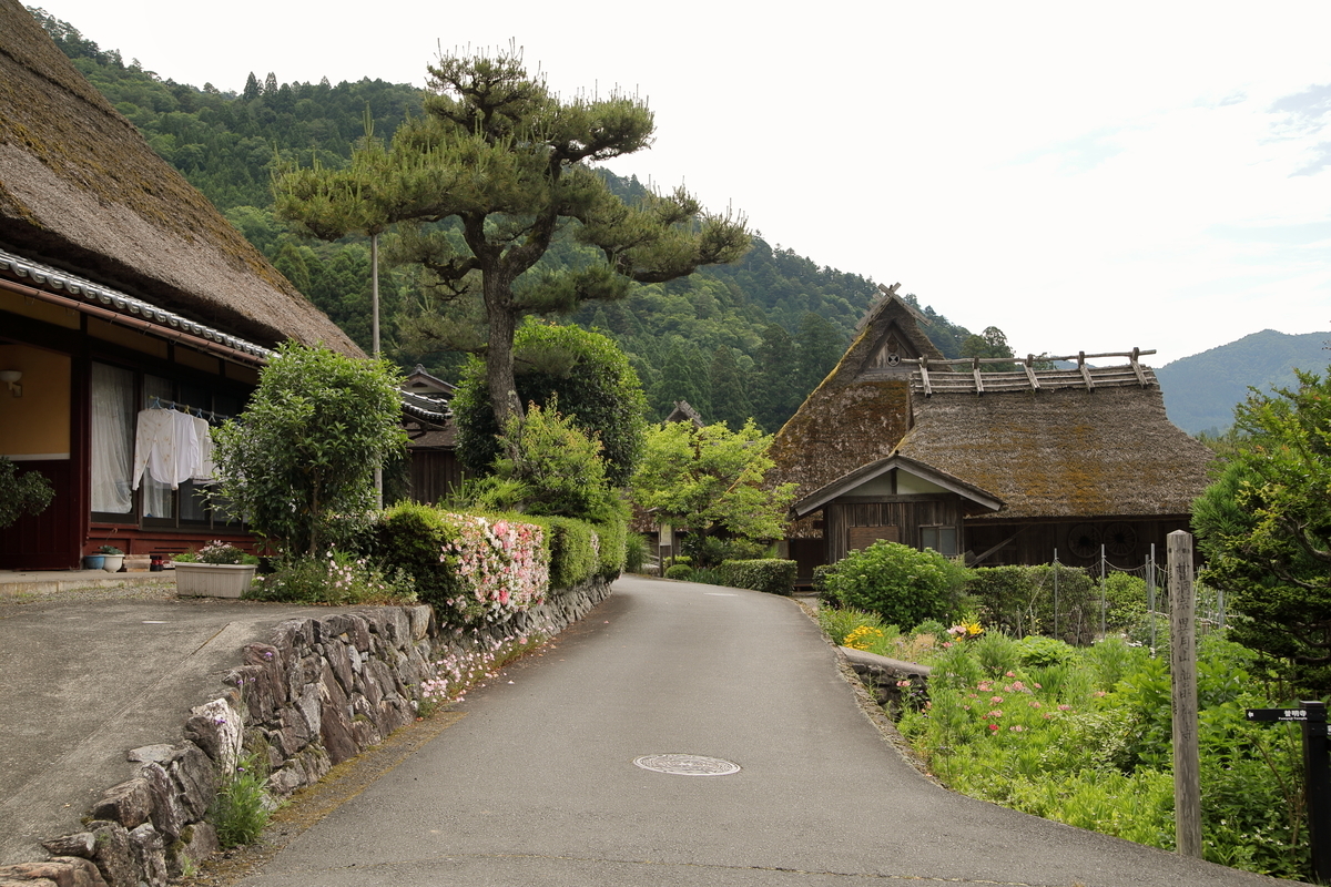 f:id:Yoshio2:20211210133753j:plain