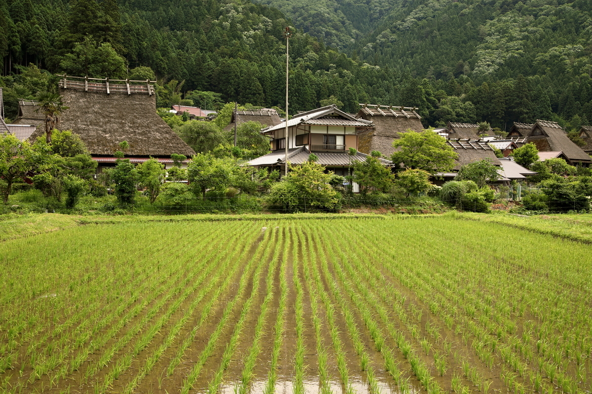f:id:Yoshio2:20211210133818j:plain