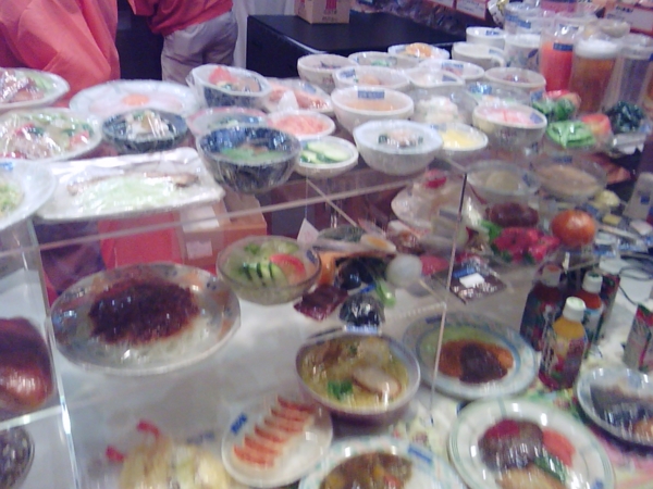 20090510101140