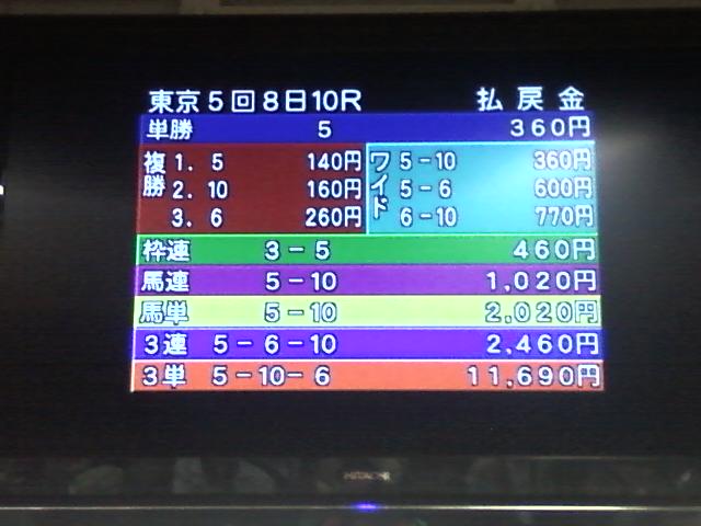 今週の競馬