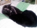 20111203150258