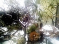 20111217083003