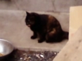 20111223093701