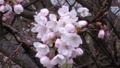 20190331182000