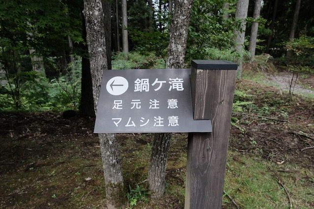 f:id:Yosshaking:20190902222547j:plain f:id:Yosshaking:20190902222547j:plain