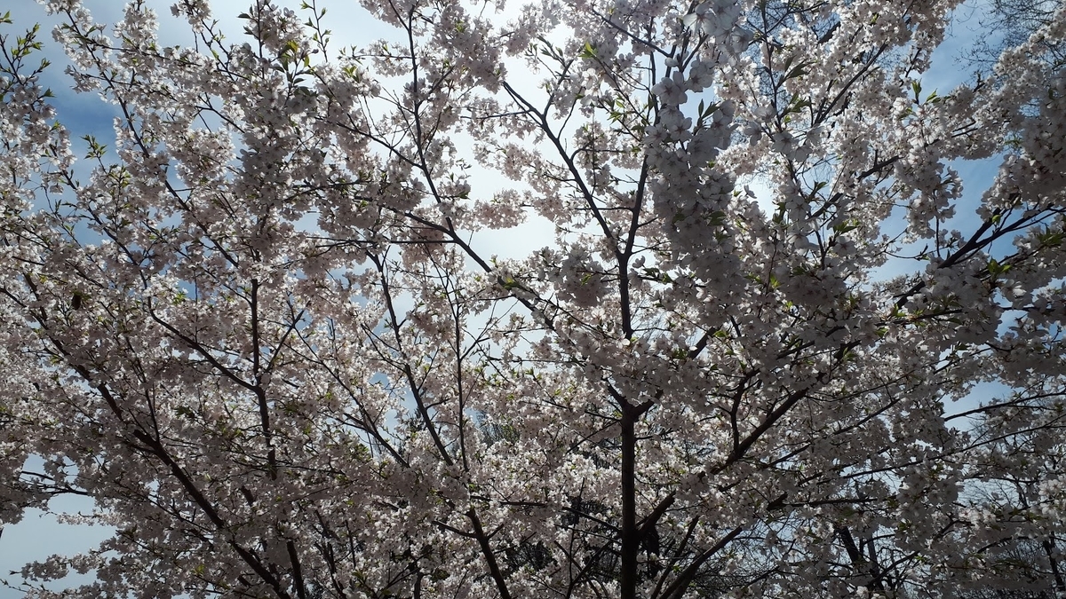 f:id:Yotoro:20200507130907j:plain f:id:Yotoro:20200507130907j:plain