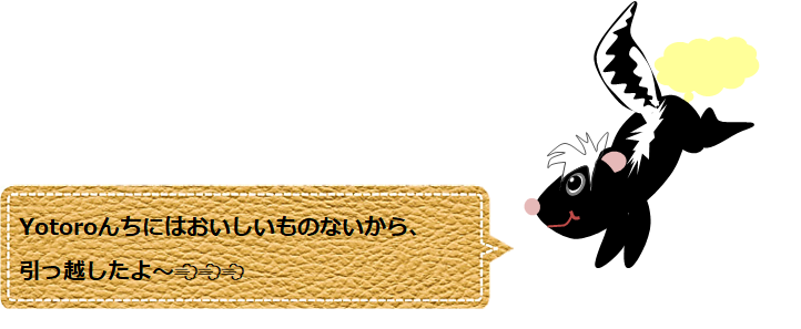 f:id:Yotoro:20200709052618p:plain f:id:Yotoro:20200709052618p:plain