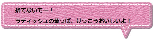 f:id:Yotoro:20200709055416j:plain f:id:Yotoro:20200709055416j:plain