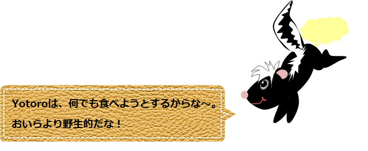 f:id:Yotoro:20200827034410p:plain f:id:Yotoro:20200827034410p:plain