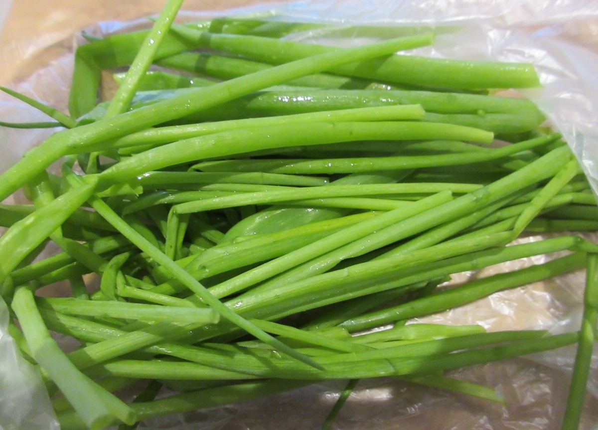 f:id:Yotoro:20201103011242j:plain f:id:Yotoro:20201103011242j:plain