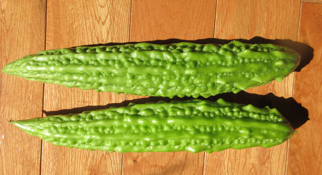 f:id:Yotoro:20210828120341p:plain