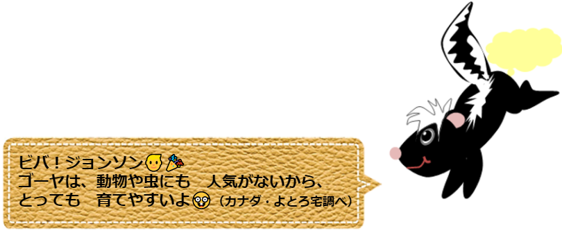 f:id:Yotoro:20210828131724p:plain