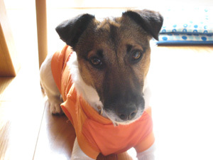 f:id:Yottake:20080105150843j:image