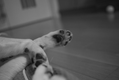 f:id:Yottake:20090321212321j:image