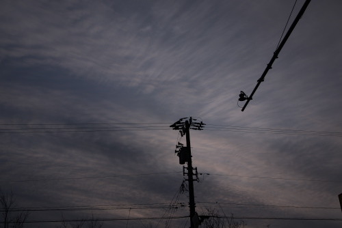 f:id:Yottake:20090331061956j:image