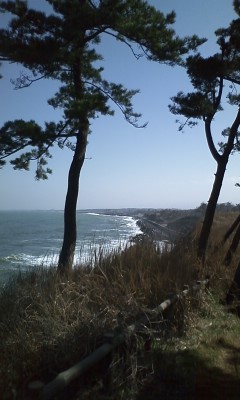 f:id:Yottake:20100314095227j:image