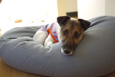 f:id:Yottake:20100314193418j:image