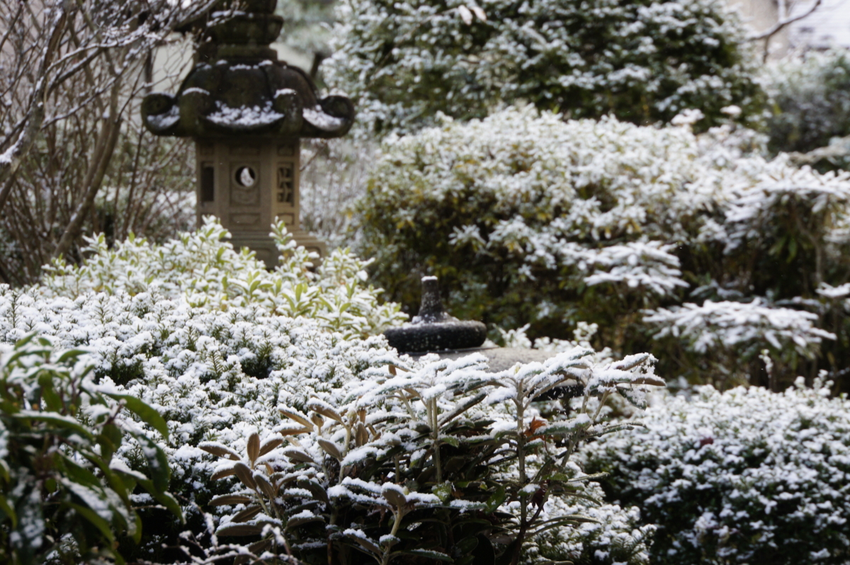 f:id:Youko:20161123180435j:image:w640