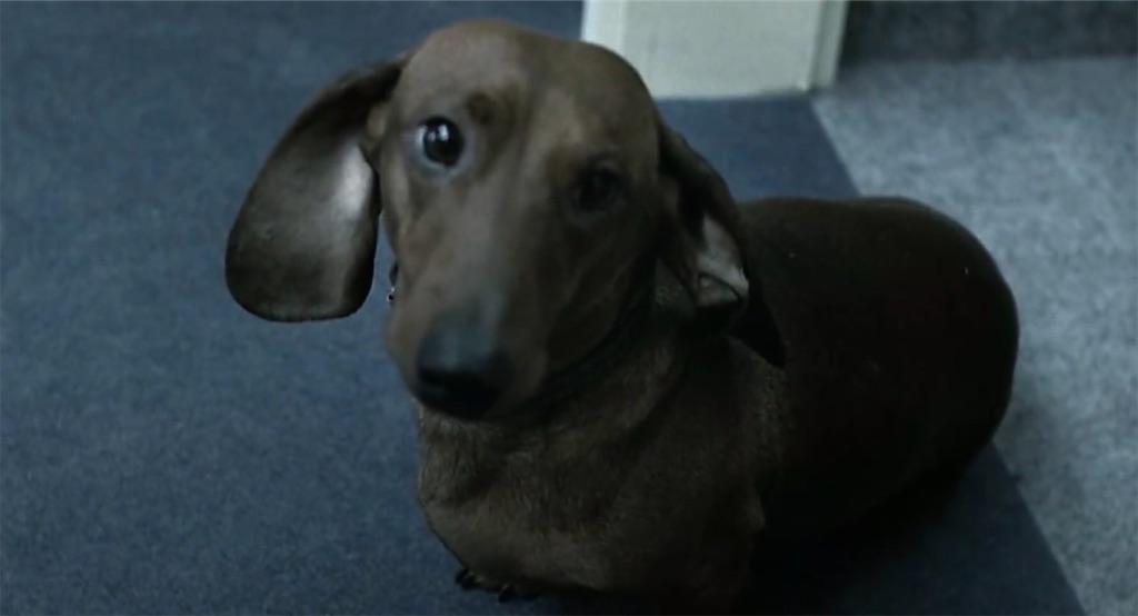 f:id:YoungAliveinMovie:20200716202232j:image