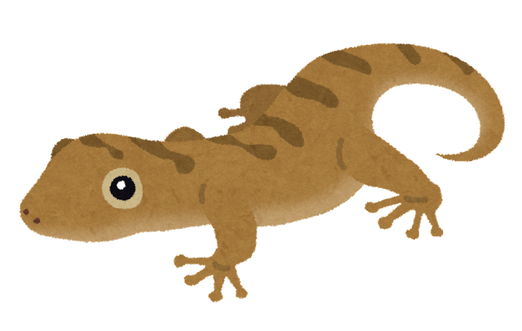 ニホンヤモリとは 動植物の人気 最新記事を集めました はてな