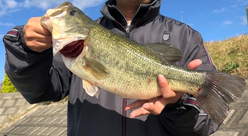 ３階釣り部バス釣り主戦場 ３階釣り部