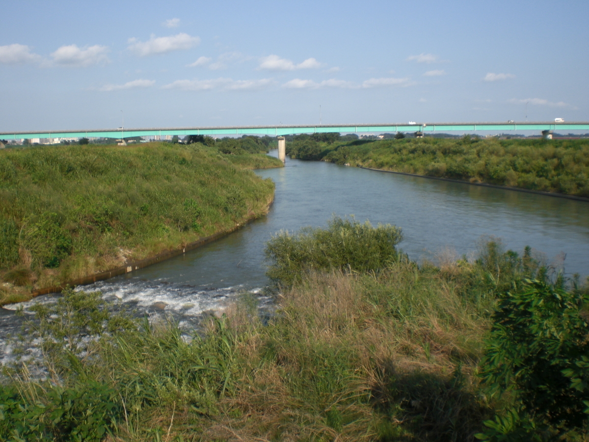 荒川中流域スモールバス釣り ３階釣り部