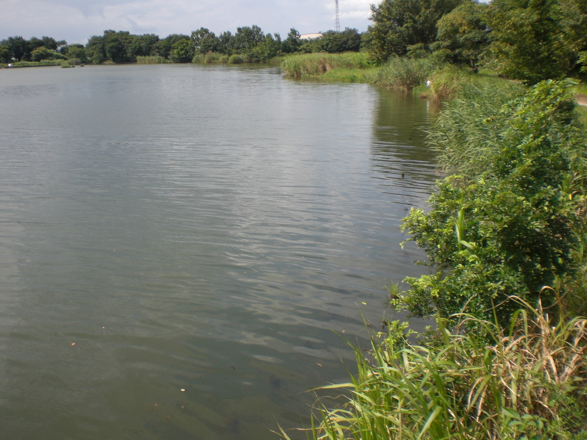 柴山沼のバス釣りポイント５選 番外編１選 ３階釣り部