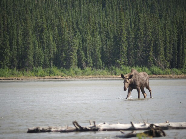 f:id:Yu-Ma:20170616061618j:plain f:id:Yu-Ma:20170616061618j:plain