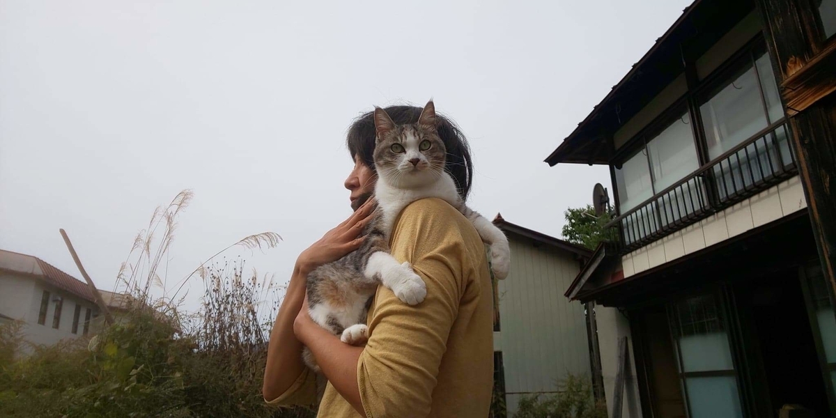 f:id:Yu-Ma:20191115053717j:plain