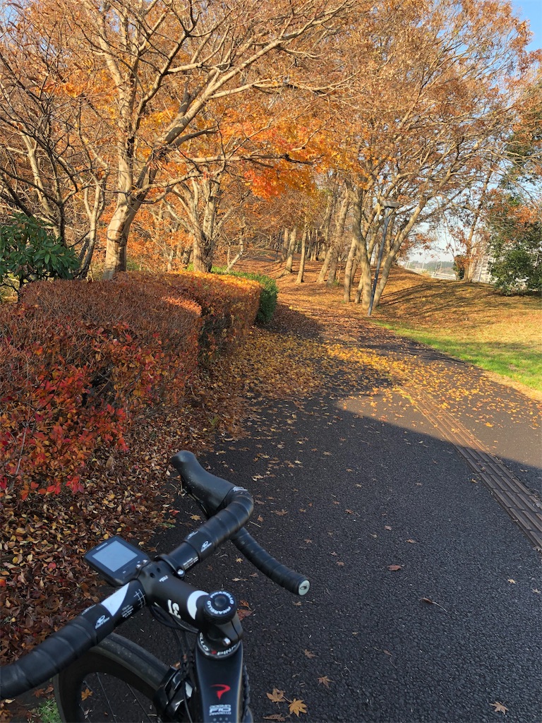 サイクリングロードのメリット デメリット サイクリングロードに潜む危険性 Yu Su Keの日記 Nz留学