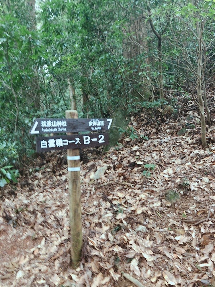 f:id:Yu-Su-Ke:20201009071318j:plain f:id:Yu-Su-Ke:20201009071318j:plain