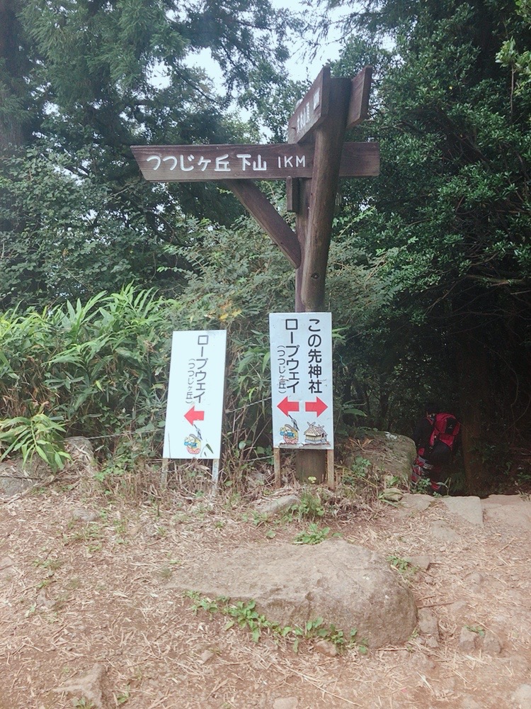 f:id:Yu-Su-Ke:20201009071345j:plain f:id:Yu-Su-Ke:20201009071345j:plain