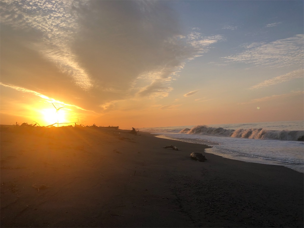 f:id:Yu-nature:20230622090003j:image