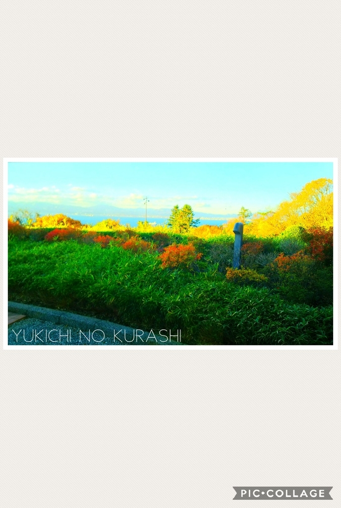 f:id:Yu_kichi:20181105184236j:plain f:id:Yu_kichi:20181105184236j:plain