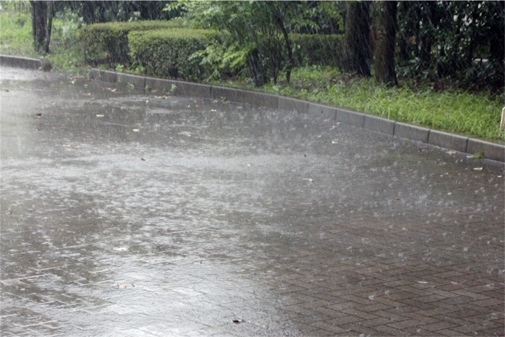 f:id:Yubaaba:20200907072512j:image f:id:Yubaaba:20200907072512j:image