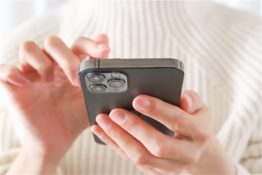 f:id:Yubaaba:20220129165513j:image f:id:Yubaaba:20220129165513j:image