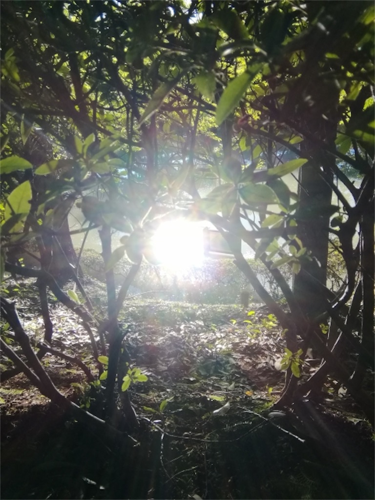 f:id:Yubaaba:20220314100455j:image f:id:Yubaaba:20220314100455j:image