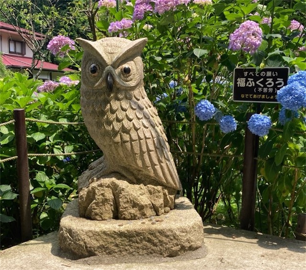 f:id:Yubaaba:20220703212035j:image
